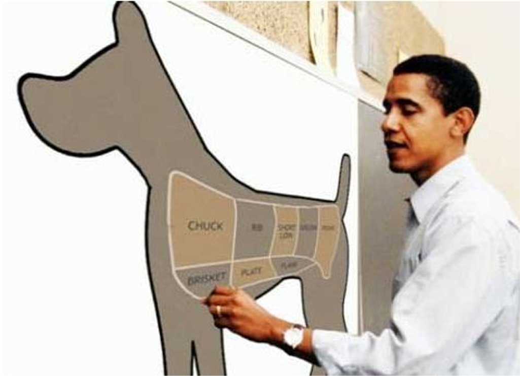 [Image: dog-obama-ate.jpg]
