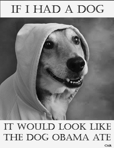 [Image: dog2.jpg]