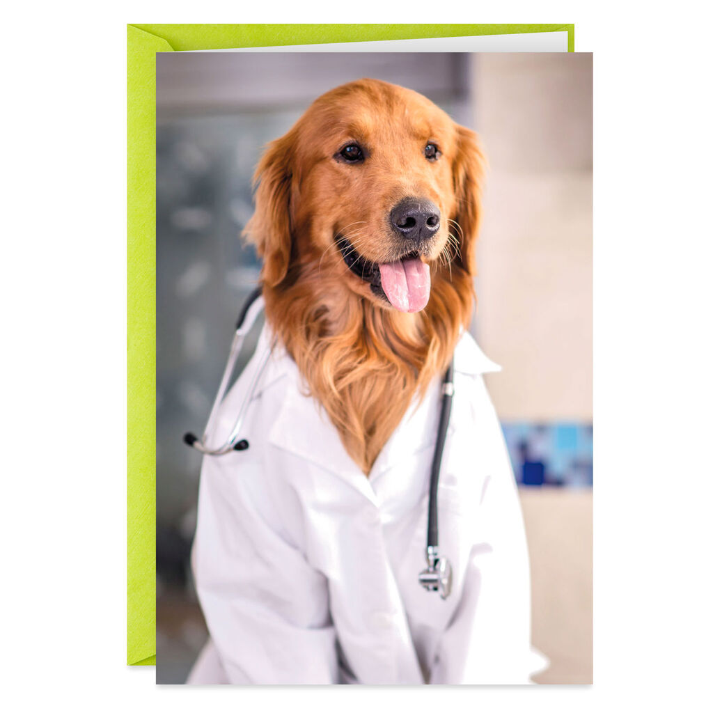 [Image: Doctor-Dogs-Orders-Get-Well-Card_369ZZF7028_01.jpg]